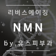 유리본 NMN + 엑소좀 스킨부스터 강력한 항노화 효과 by.여의도 유스피부과