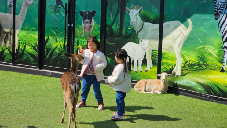청주 실내동물원 가볼만한 곳 쥬니멀 동물원