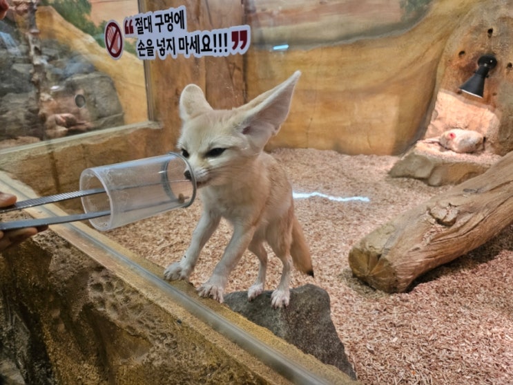 부산 명지 실내동물원 아이랑 가볼만한 곳 라라쥬 동물원
