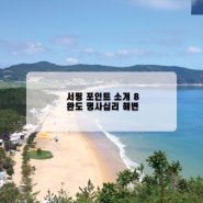서핑 포인트 소개 8 : 완도 명사십리 해변