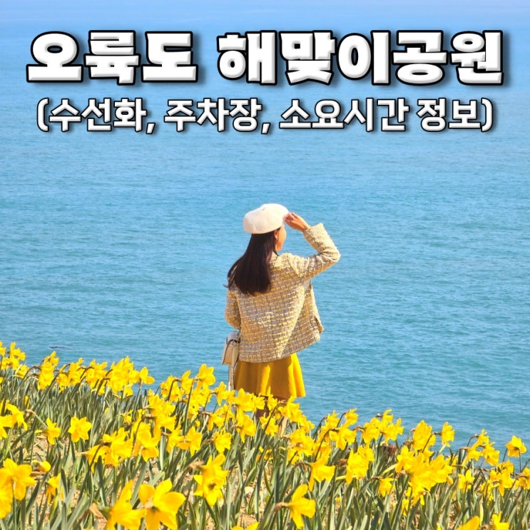 오륙도 해맞이공원 수선화 부산가볼만한곳 (포토존, 주차장...