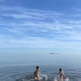 [스페인여행] 말라가 : 항구에서 말라게따 해변까지! 자유로운 영혼들과 여유부리기 (feat.말라가 공원 & 퐁피두센터)