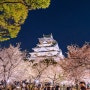 일본(日本) 오사카(大阪) 벚꽃(さくら)여행 3일차 6.오사카성(大阪城) 라이트업