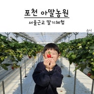 서울근교 딸기체험 포천 아딸농원 아이랑 갈만한 곳(딸기잼 만들기)