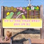 인천 서구 연희동 강아지 산책 장소 연희공원 철쭉동산