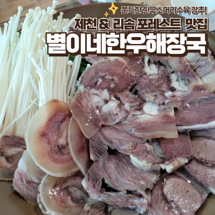 [ 제천 맛집 | 별이네한우해장국 ] 진한 국물의 부드러운 고기가 가득한 한우소머리수육 맛집 ♥ 내돈내산 후기 ♥ 리솜포레스트 ...