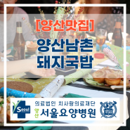 북정동맛집 :: 양산남촌돼지국밥
