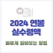 2024 연봉 실수령액 계산 공제하고 받을 수 있는 금액은