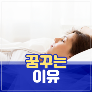 꿈꾸는 이유 꿈의 비밀은?