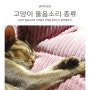 고양이 울음소리 종류 나의 요구를 들어줘라!