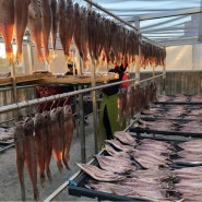 고등어, 삼치, 열기, 가자미 도매 업소용 생선