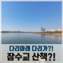 쌀쌀한 서울 봄날의 산책, 반포대교아래 잠수교를 건너 반포한강공원으로~!
