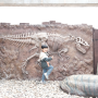 남양주 아이랑 가볼만한곳 공룡 화석 볼 수 있는 우석헌 자연사박물관
