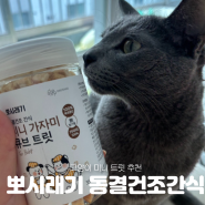 미니 고양이트릿 뽀시래기 동결건조간식 가자미맛 급여 후기