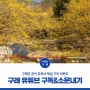 구례군 공식 유튜브 채널 구독&소문내기 이벤트