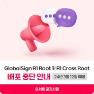 [중요공지] GlobalSign R1 Root 및 R1 Cross Root 배포 중단 안내 (24년 3월 13일 예정)