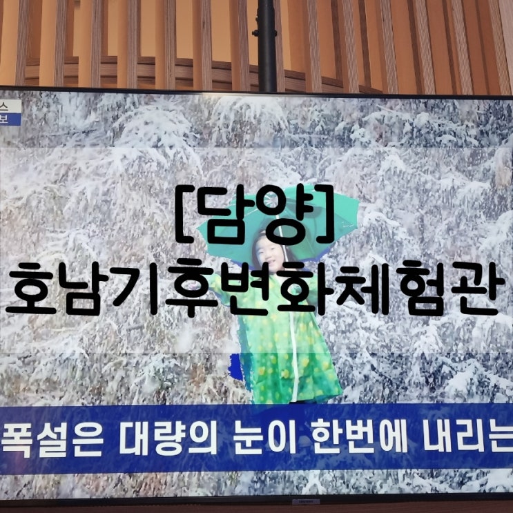 담양 아이와 가볼만한곳_메타세콰이아랜드2_호남기후변화체험관