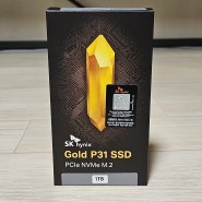멀티작업 환경을 위해 셋팅한 SK하이닉스 Gold P31 M.2 NVMe SSD (1TB)
