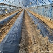 2024년 농사 준비가 한창인 풀빛고운날 교육농장 (병아리 식구 추가)