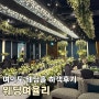 여의도 웨딩홀 웨딩여율리 하객 방문 후기(Feat.뷔페,주차)