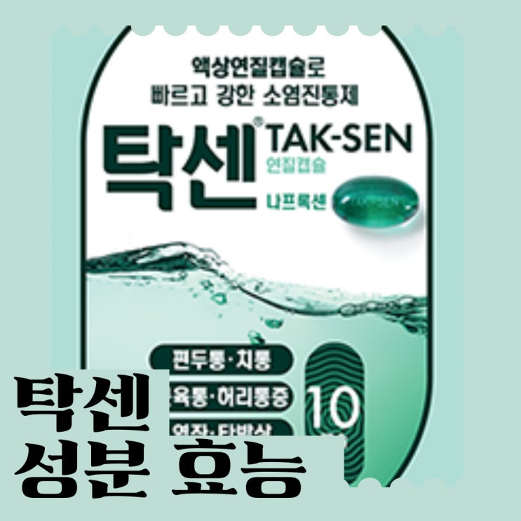 탁센 성분 효능 두통 생리통 술 부작용 복용법 주의사항 : 네이버 블로그