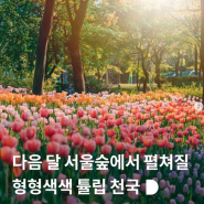 2024 서울숲 튤립 언덕을 준비해요!｜구근 식재 및 교육 현장