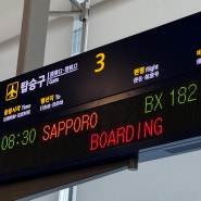 일본 겨울 훗카이도 삿포로 여행 에어부산 탑승 후기 꿀팁(수화물,번들 구매)