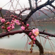 광주 근교 화순 가볼만한곳 동구리호수공원 만연저수지