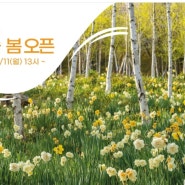 화담숲 봄 오픈 벚꽃 모노레일 온라인예매 예약 오픈시작 가격정보