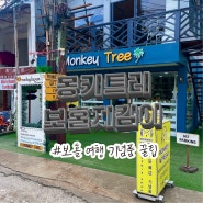 보홀 여행 꿀팁 기념품 멀리 나가지 않고 보홀지킴이 / 몽키트리 MOKEY TREE