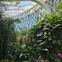 서울에 엄청난 식물원이 있다 : 마곡 서울식물원 방문기 (데이트, 가족 왕추천)