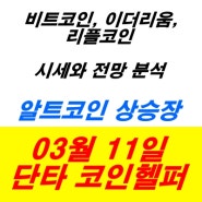 [코인헬퍼] 2024년 03월 11일 비트코인, 이더리움, 리플 시세와 전망 분석