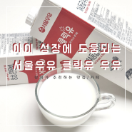 아이 성장에 도움 되는 멸균우유 서울우유 클릭유 1등급 팩 우유