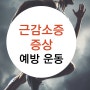 근감소증 증상 파악으로 예방하기