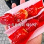 오사카 난바 디저트 맛집 스트로베리 마니아 딸기 탕후루