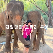 치앙마이 자유 여행 코스 추천 | Kerchor elephant 코끼리 투어