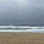 [강원도 여행] 동해바다 어싱하기좋은 해변 망상오토캠핑리조트 든바다투숙 후기