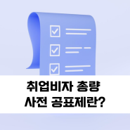 취업비자 총량 사전 공표제란?