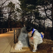 [인천] 강아지와 함께 하는 인천 초보 등산 코스 만수산 무장애나눔길 인천 야경 맛집