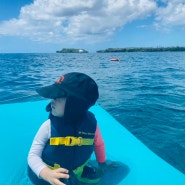 [괌여행/투어] 괌 파란크루즈 돌핀투어(feat.점심돌핀크루즈/36개월미만 무료)