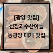 [광양 맛집] 선장과 아들 수산 | 대게 맛집
