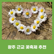 광주 근교 꽃 축제 추천