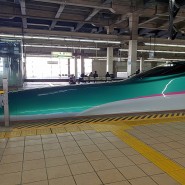 JR 패스로 하는 동일본 여행 / 신칸센 타고 오이시다에서 에치코유자와 가는 길, 가와바타 야스나리 노벨문학상 수상작 설국의 배경지로.
