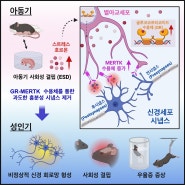 [연구]아동 학대로 인한 정신질환 발병 원인 최초 규명