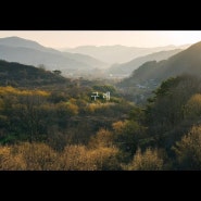 구례, 화엄사, 홍매화 - 봄이 오는 소리 Sounds of Spring