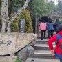 삼국유사지점 문화유적답사반 /아홉산숲