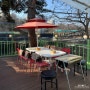 하남 천년소나무 - 서울 근교 야외 바베큐식당