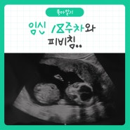 [육아일기] 임산부 18주차와 피비침