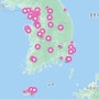 전국 비건 지도 식당 카페 베이커리 리스트 네이버 지도