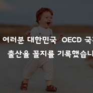 출산율 낮아졌는데 결혼정보회사의 인기는 여전하죠?